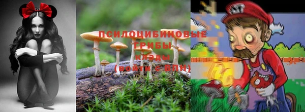 мдпв Балабаново