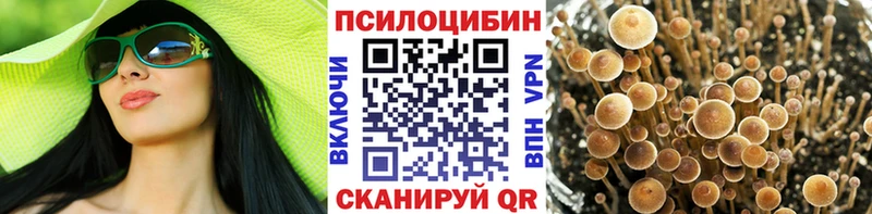 Купить закладки  Джанкой  Псилоцибиновые грибы Psilocybe 